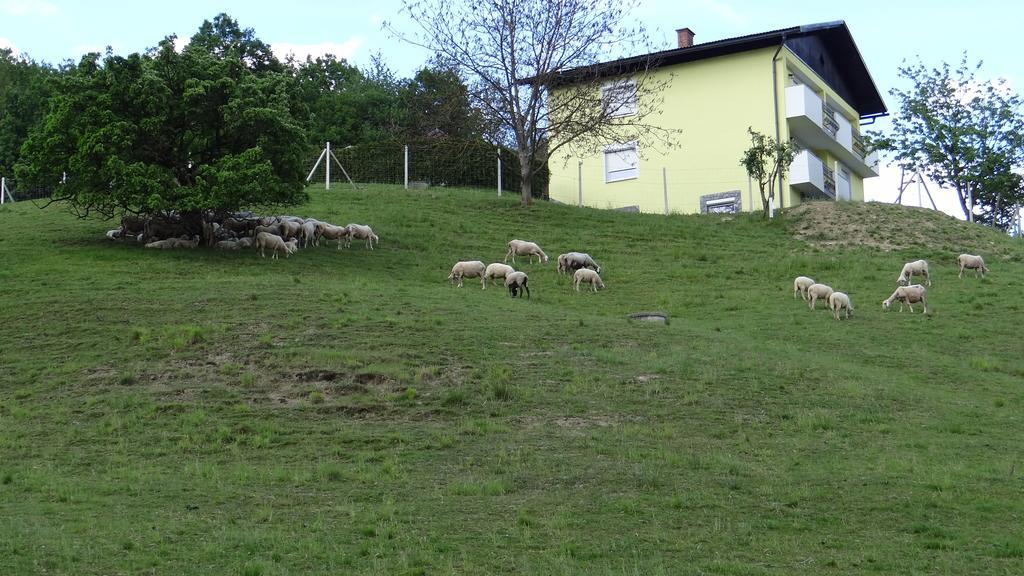 Relax Center Olimian Apartamento Podčetrtek Exterior foto